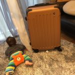 グアムで赤ちゃんに必要な持ち物まとめ~帰国後編