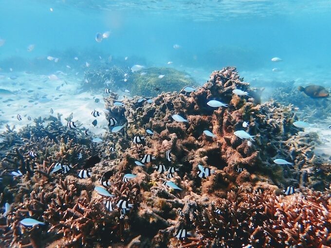 イパオビーチのサンゴ礁と透き通った海